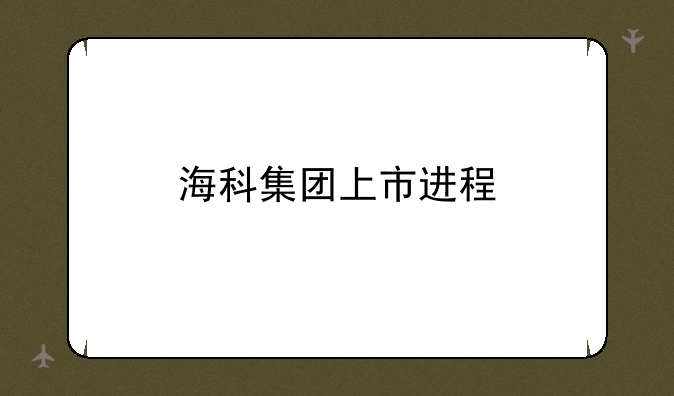 海科集团上市进程