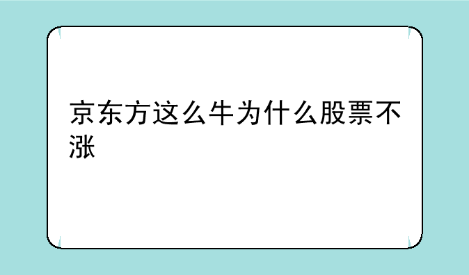 京东方这么牛为什么股票不涨