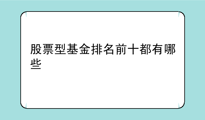 股票型基金排名前十都有哪些