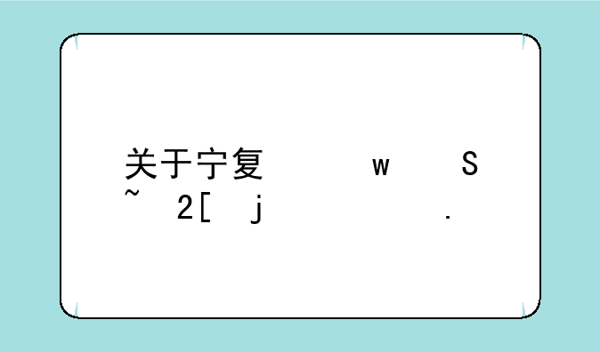 关于宁夏宝塔石化的概括