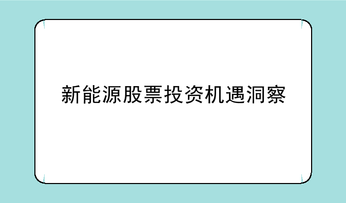 新能源股票投资机遇洞察