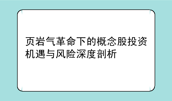 页岩气革命下的概念股投资机遇与风险深度剖析