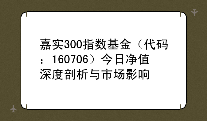 嘉实300指数基金（代码：160706）今日净值深度剖析与市场影响