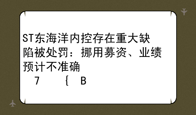 ST东海洋内控存在重大缺陷被处罚：挪用募资、业绩预计不准确修正严重滞后